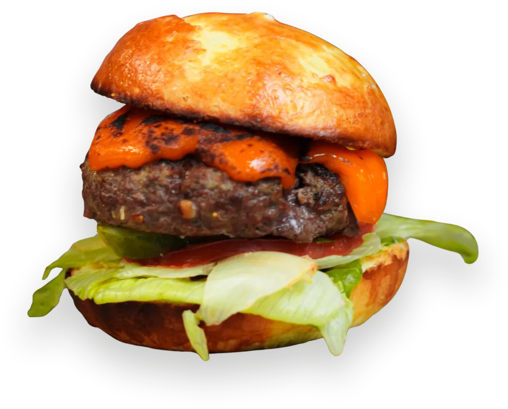Cheeseburger with a beef patty and cheddar